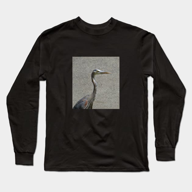 Driveway heron Long Sleeve T-Shirt by AmyKalish